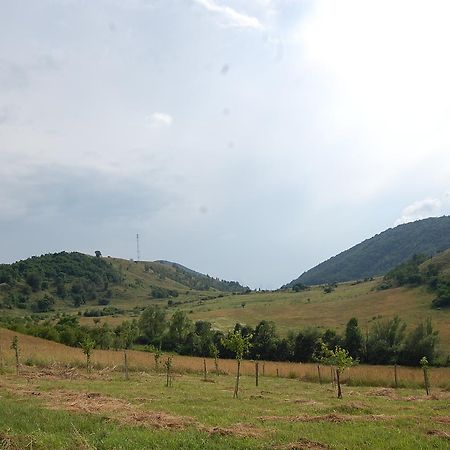 Motel Prislop Хацег Екстер'єр фото