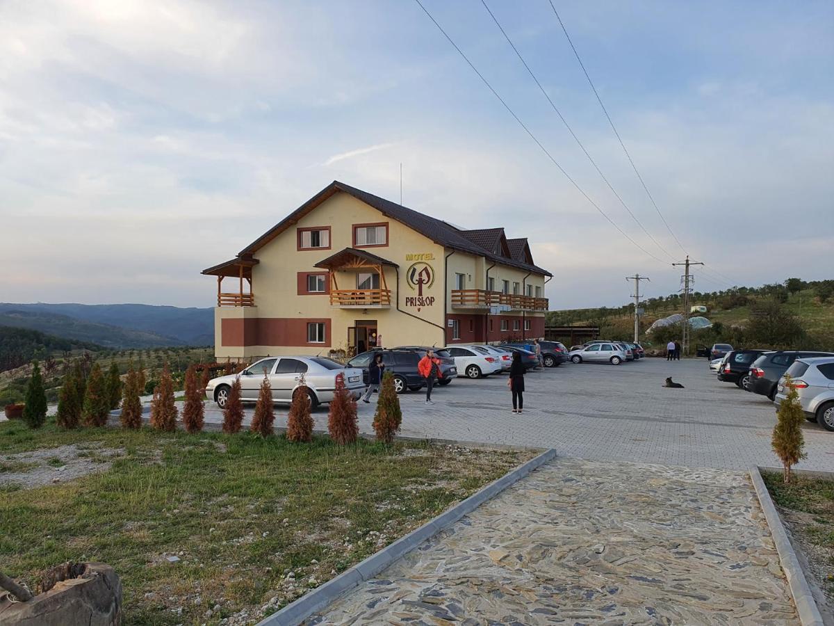 Motel Prislop Хацег Екстер'єр фото