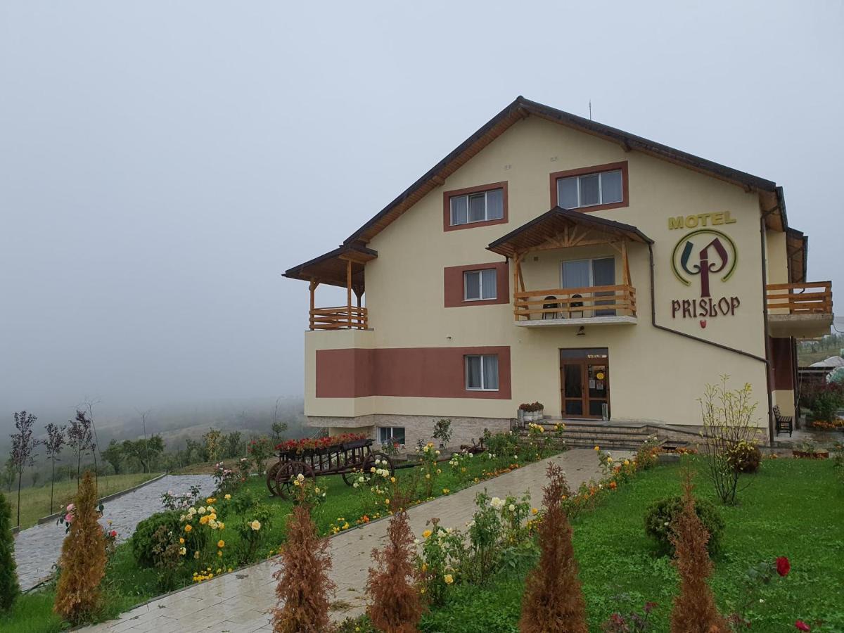 Motel Prislop Хацег Екстер'єр фото