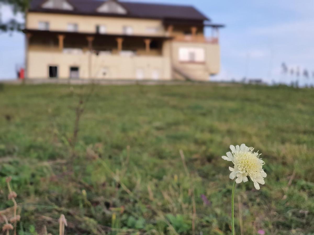 Motel Prislop Хацег Екстер'єр фото