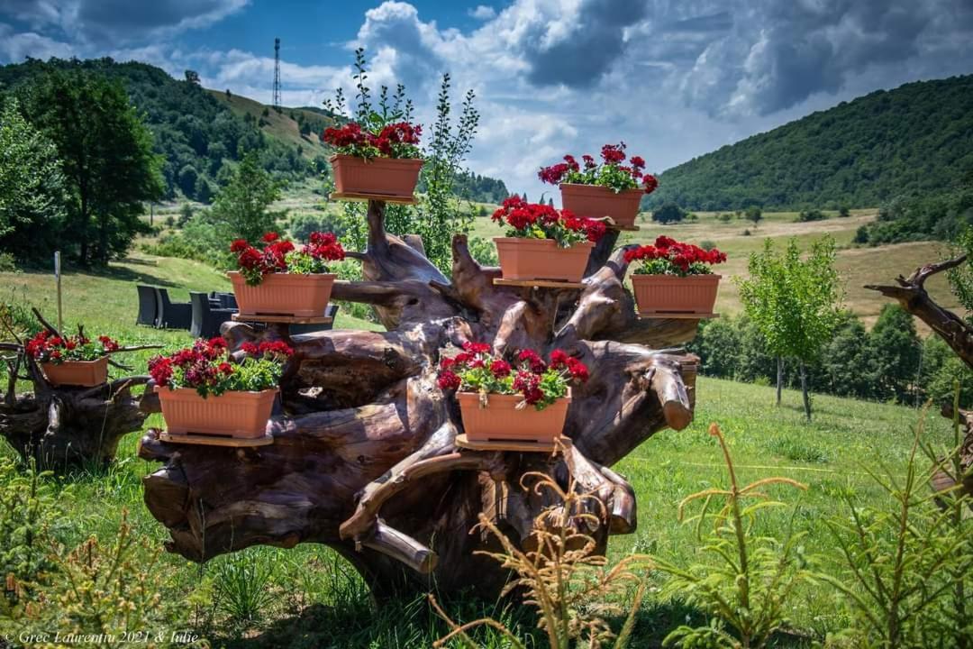Motel Prislop Хацег Екстер'єр фото